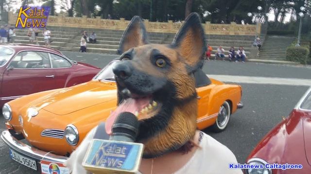 Caltagirone, Tour Sicilia di 35 equipaggi del del Karmann Ghia club Italia. Tappa Noto - Caltagiron смотреть онлайн