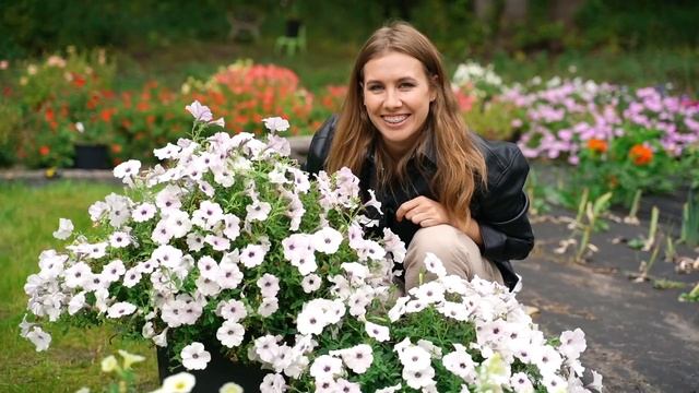 Самые гигантские и красивые петунии | Какие петунии посеять в 2022 году