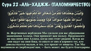 Сура 22 аль-Хадж (арабские и русские титры) - Мухаммад Люхайдан