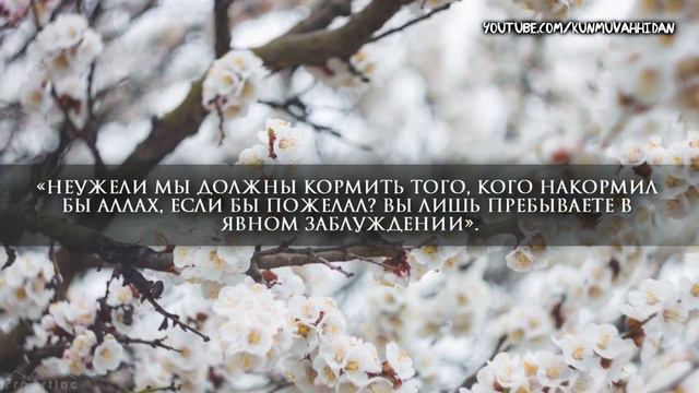 Лучшее чтение 36 суры «Ясин». Мухаммад Аль-Люхайдан#allah #ислам #коран#alhamdulillah #islam#islami