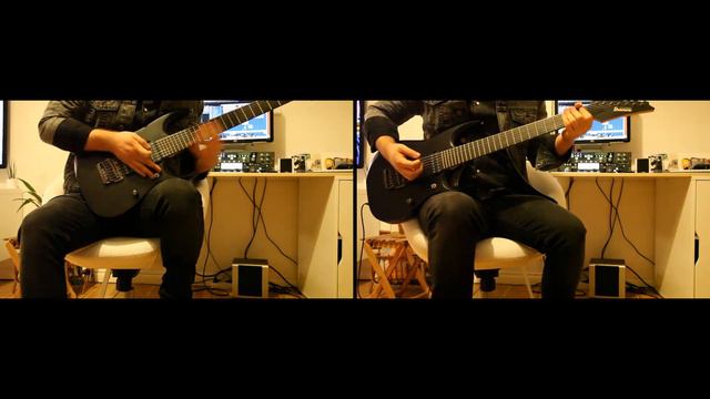 Ibanez RGD Prestige 7 String Test смотреть онлайн