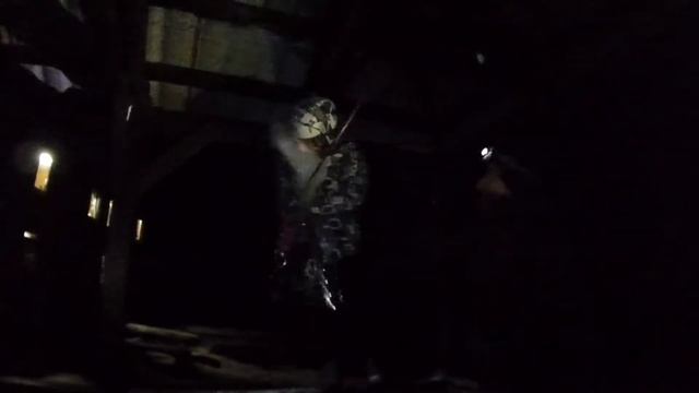 Посвящение в 