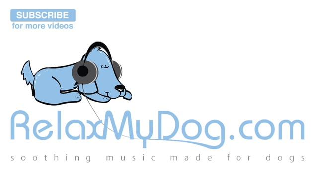 Relaxation Music for Poorly Pups 🐶 #POORLY02 смотреть онлайн