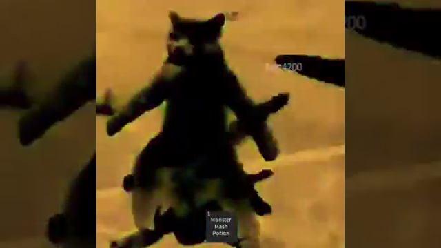 monster mash (roblox) смотреть онлайн