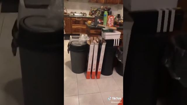 Популярное из Тик Ток: невероятно глупые поступки (19 часть)