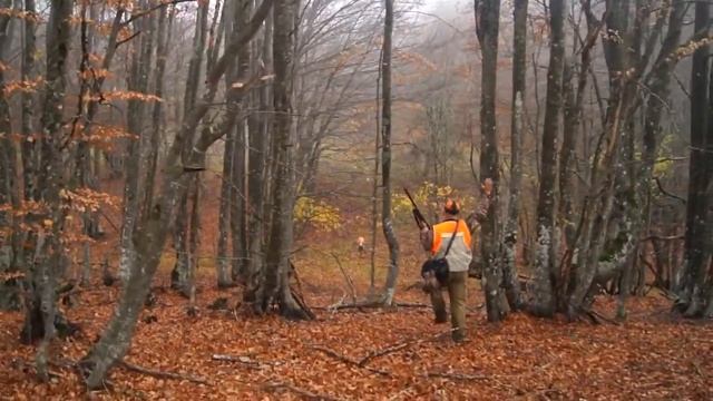 Охота в Крыму. Ай-Петри. Вальдшнеп 2012г. смотреть онлайн