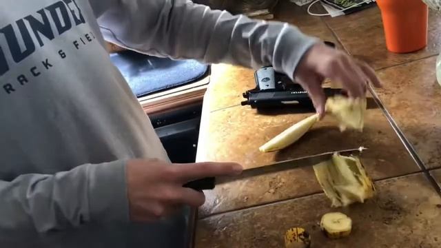 Shark bait S:1 EP:1 смотреть онлайн