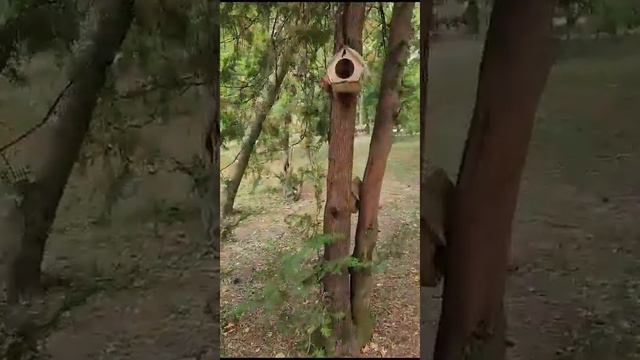 Владимир Добро замечательная картина смотреть онлайн