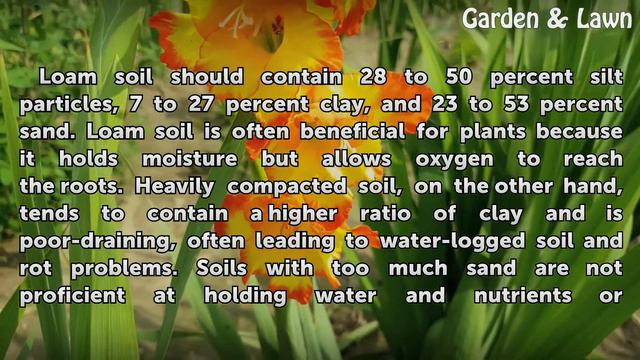 What Is the Texture for Loam Soil? смотреть онлайн