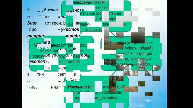 Биоценоз. 9класс смотреть онлайн