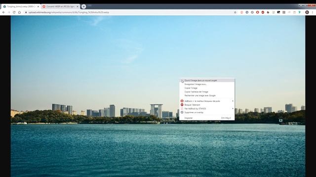 EASY WEB OUT - Comment convertir un .webp en .jpg смотреть онлайн