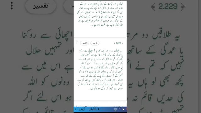 Surah Al Bakara Ayet No 226 To 230|Quran Majeed|Urdu Hindi|Munawar Hussain смотреть онлайн