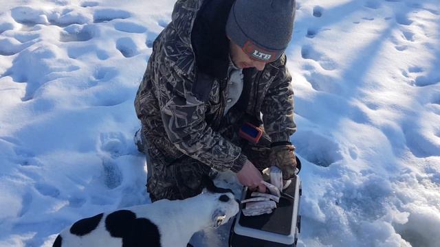 Зимняя рыбалка 2019. На моём любимом месте! смотреть онлайн