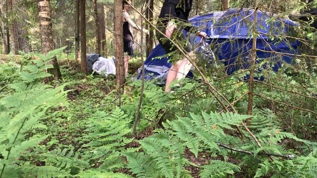 Рыбы в Объективе