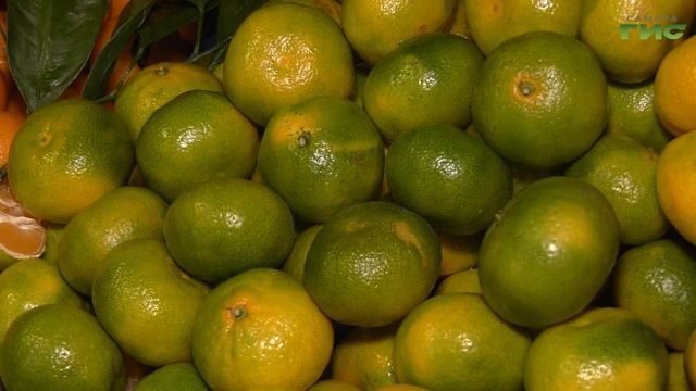 Сокровищница выгоды