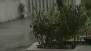 Сестра. Грустная тайская  Социальная реклама до слёз печальное видео