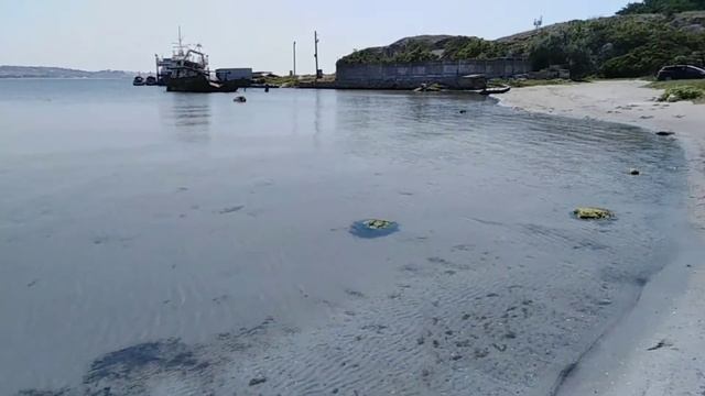 ЗМЕЯ И ДЕТИ. ДЕТСКИЕ ШАЛОСТИ СО ЗМЕЁЙ. КРЫМ, КАЗАНТИП, МЫСОВОЕ-2021. CRIMEA TODAY, KAZANTIP смотреть онлайн