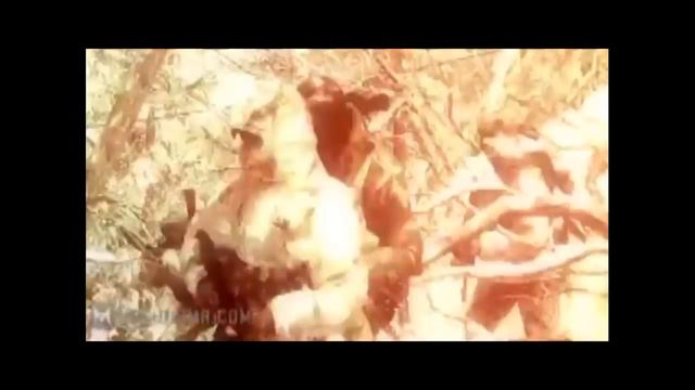 Call of Duty : Black Ops Vietnam MONTAGE смотреть онлайн