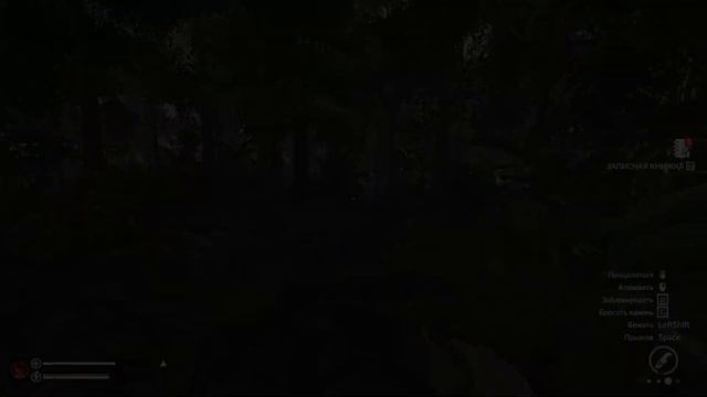 Что будет, если отпустить здравомыслие/рассудок в Green Hell смотреть онлайн