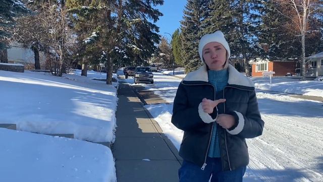 Канада. Перелет с кошкой. Стоимость билетов на кошку и необходимые документы. смотреть онлайн