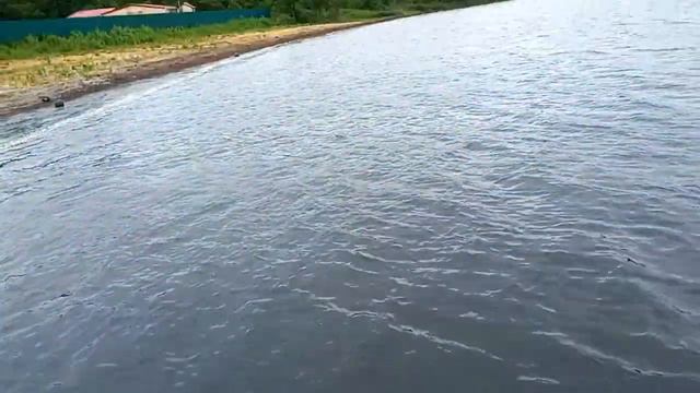 Владивосток. о. Русский. Бухта Круглая. смотреть онлайн