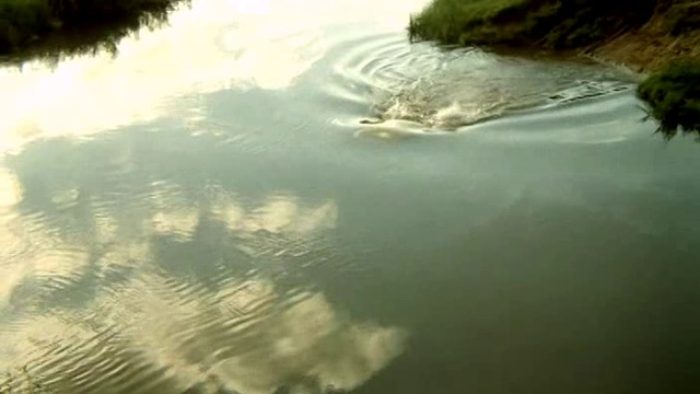 невер.прикл.