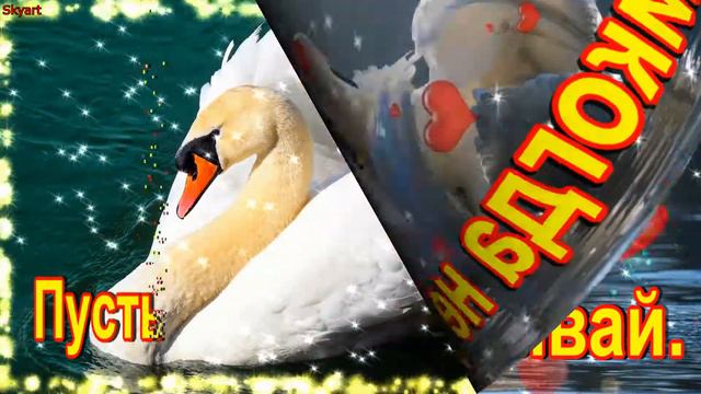 С Днем Рождения, Ария! Новинка! Прекрасное Видео Поздравление! СУПЕР ПОЗДРАВЛЕНИЕ! смотреть онлайн