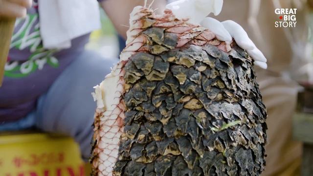 Cooking With Poison in Japan смотреть онлайн