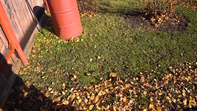 Собираем листья газонокосилкой смотреть онлайн