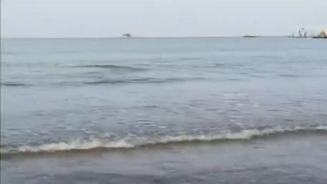 Tide Runner Boats смотреть онлайн