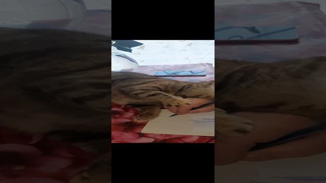 Rutube_account_18541972