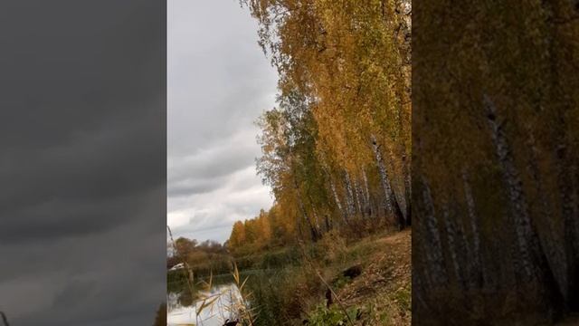 Падают листья. смотреть онлайн