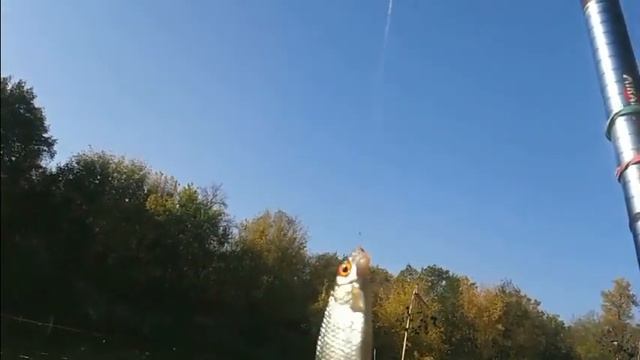 РЫБАЛКА С МАХОВОЙ УДОЧКОЙ В ОКТЯБРЕ смотреть онлайн