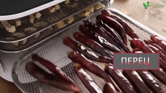 Модные обзоры одежды для праздников