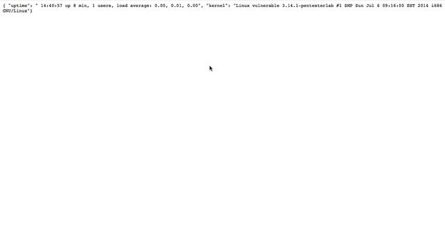 PoC Shell Sock Reverse Shell cgi-bin смотреть онлайн