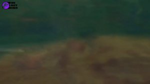 ТИТАНОБОА VS ТИРАННОЗАВР РЕКС |  БИТВЫ ДИНОЗАВРОВ | КОРОЛИ МЕЗОЗОЯ (1 серия)