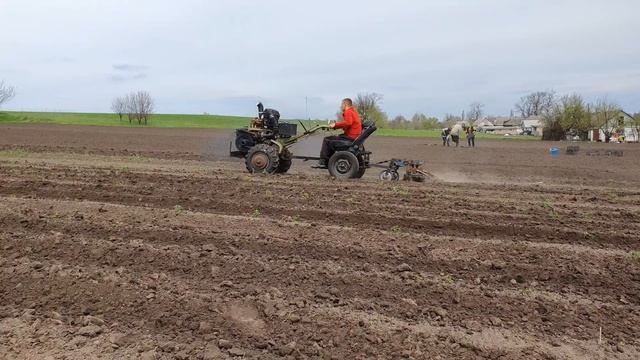Передсходова механічна обробка картоплі від бур'яну мотоблоком. смотреть онлайн