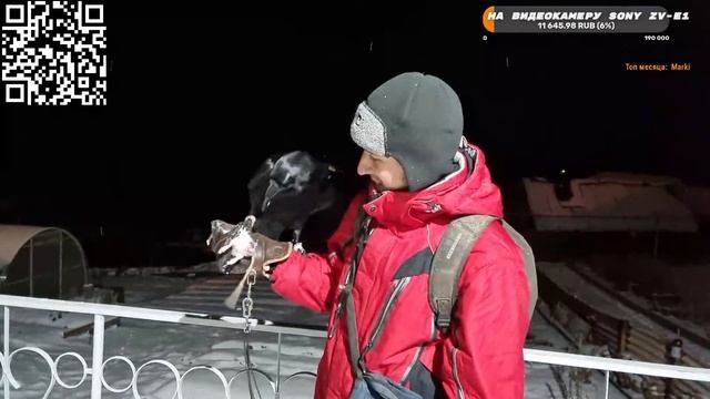 Совместная прогулка с Гошей смотреть онлайн