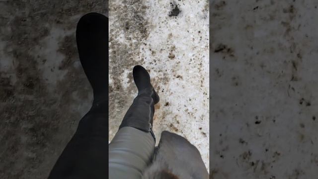 Обзоры и распаковка новой обуви смотреть онлайн