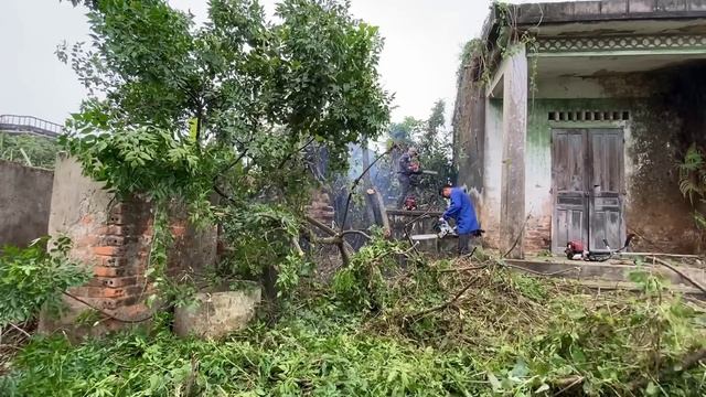 Clean Up The Abandoned House Covered With Weeds | Clean The Old House, Overgrown Plants Ep 2
