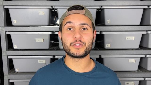 Top 10 Coolest Ball Pythons Of 2022 смотреть онлайн