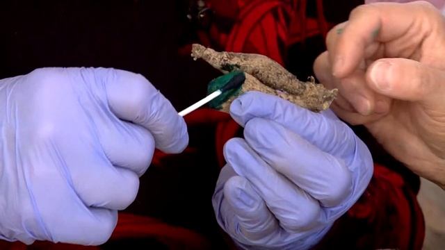 Как делить георгины без потерь смотреть онлайн