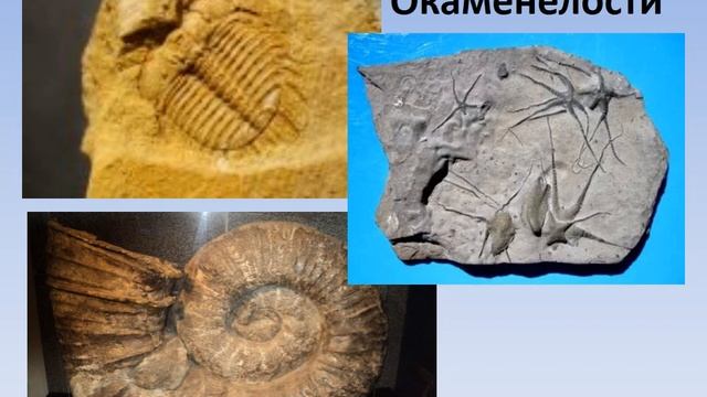 Родиноведение Строение Земли смотреть онлайн