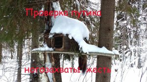 Проверка путика. Ушла с капканом. Пробиваю путь. Секретная приманка.