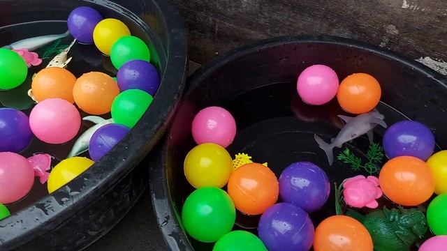 BEBEK BERENANG DENGAN BOLA - BOLA WARNA WARNI II BERMAIN BERSAMA BEBEK , BEBEK LUCU смотреть онлайн