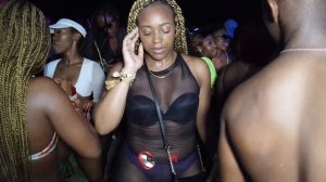 Jamaica Beach Party P1 Jamaican carnival