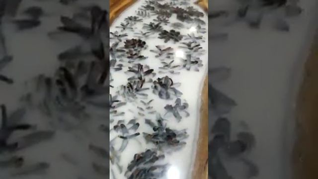 Моя новая работа: стол-река из слэбов карагача с шишками смотреть онлайн