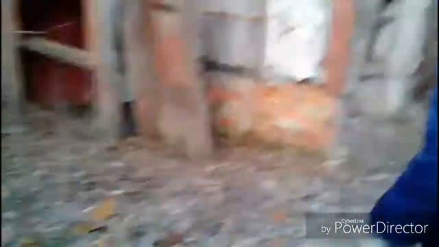 Заброшенные дачи смотреть онлайн