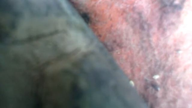 Как улучшить тормаза на Иж Юпитер и Иж Планета смотреть онлайн