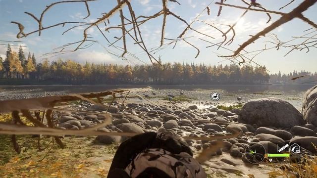 Добываем канадскую казарку, побережье Ревонтули | theHunter Call of the Wild (2022) #11 смотреть онлайн